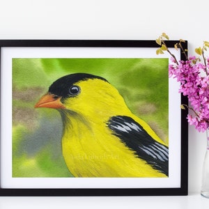Goldfinch bird in watercolor, Yellow bird, colorful bird painting, Bird Painting Print, Giclee&#39; Print