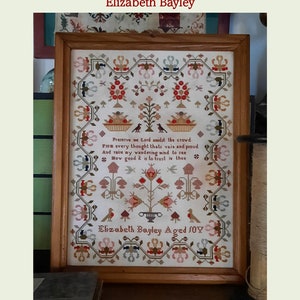 Könnte beinhalten: Ein gerahmtes Kreuzstich-Exemplar mit dem Namen "Elizabeth Bayley" und einem Text. Das Design umfasst Blumen- und Vogelmuster in Rot, Rosa und Grün, eingebettet in einen Holzrahmen, typisch für traditionelle Handarbeiten.
