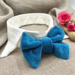 Pet Shirt Collar and Bow Tie, Wedding Dog Collar, Dog Wedding Attire, Small breed Dog Collar and Bow Tie