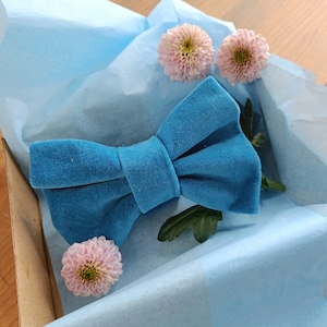 Op de afbeelding: Een blauwe fluwelen strik op een lichtblauwe tissuepapier achtergrond met roze bloemen.
