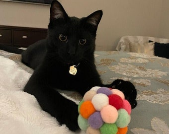 Colorful Catnip Ball Toy, Plush Polyester