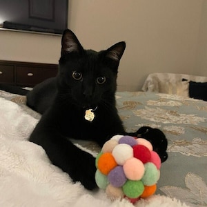 Cat Toys, Cat Treats, Cat Toy, Catnip Toy, Cat Lover, Bird, Cat Toys, Cat Lover Gift, Catnip Toy Cat Mom Gifts Cat Nip Cat Treats