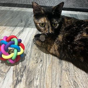 Best Toys For Cat, Cat Lover Gifts, Best Toys For Kittens, Catnip Toys, Healthy Cat Treats, Catnip Toys For Cats, Best Gifts For Cat Lovers