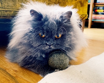 Figaro Catnip Ball, All-Natural Cat Toy, Cat Lover Gift