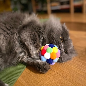 Cat Toys, Cat Treats, Cat Toy, Catnip Toy, Cat Lover, Bird, Cat Toys, Cat Lover Gift, Catnip Toy Cat Mom Gifts Cat Nip Cat Treats