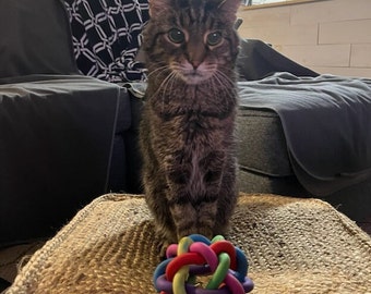 Woven Rubber Catnip Ball Toy, 3.5 Inch Diameter