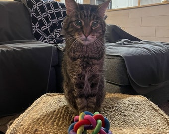 Woven Rubber Catnip Ball Toy, Colorful Cat Lover Gift