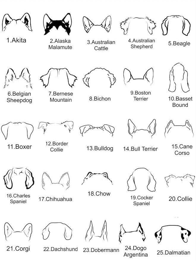 Personalised Dog Ears Necklace Custom Dog Necklace Engraved - Etsy UK