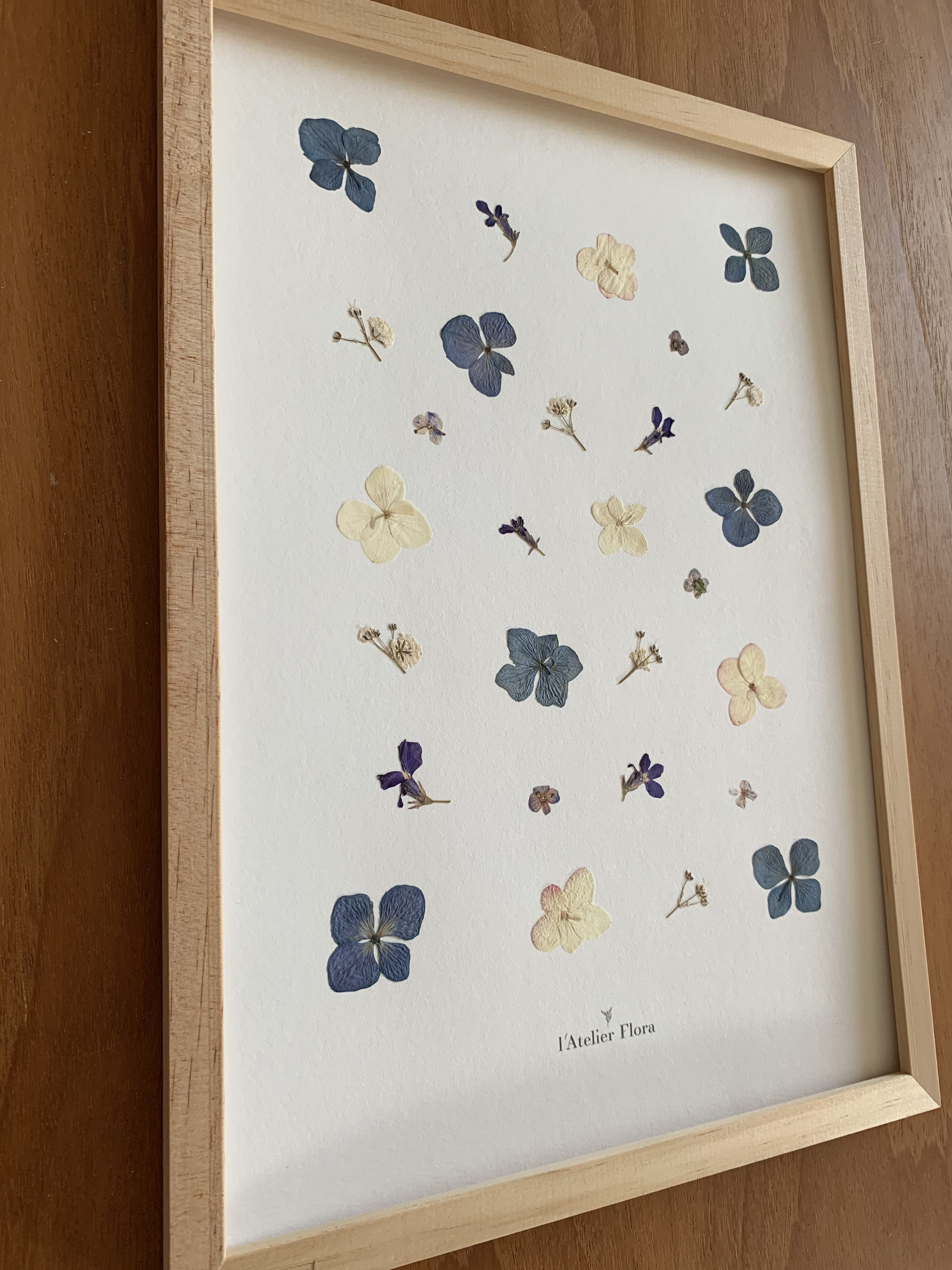 Herbier en Fleurs Pressées