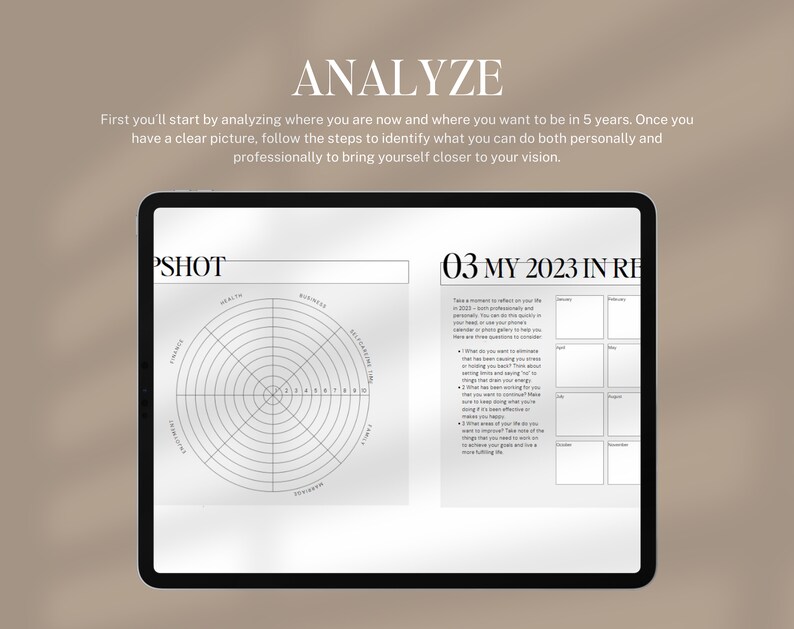 May include: A digital planner with a black and white design. The left side of the planner has a circle graph with labels for health, business, finance, relationships, personal growth, and family. The right side of the planner has a grid with the text "03 MY 2023 IN REVIEW".