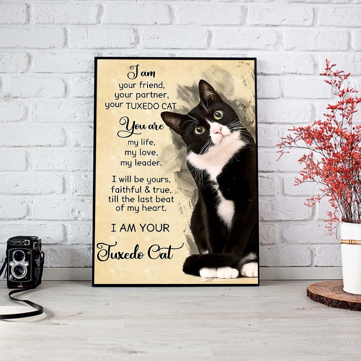 Tuxedo Cat Poster Cat Poster Wall Decoration Cat Sign for | Etsy