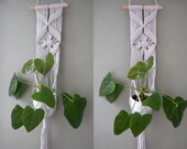 Macrame Plant Hanger, Plant Hanger Indoor, Plant Wall Hanger Accessories, Plant Mom Gift, New Home Gift