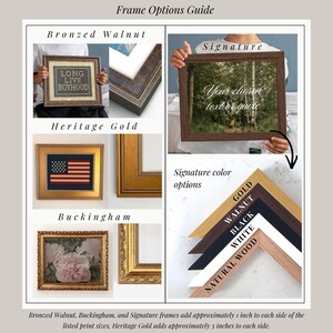 The image is a framed options guide that provides information about different framed options, including the types of frames available and their sizes.
