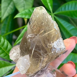 Golden Rutile in Smoky Quartz Crystal Cluster - Raw Point - Rutilated Gold - Manifestation, Confidence, Strength, Willpower, Encouragement