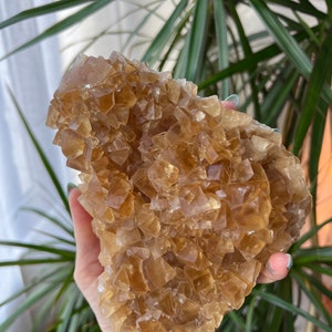 以下が含まれることがあります： 表面がざらざらしていて、質感のある、大きな黄金色の茶色のカルサイトの結晶の塊。結晶は、互いに密接に詰め込まれた、多くの小さな個々の結晶で構成されています。