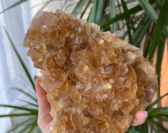 Gema Miel Calcita Cristal Cluster Felicidad, Calidez, Confianza, Abundancia, Chakra del Plexo Solar, Sanación, Claridad Mental, Energía, Conexión a Tierra