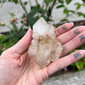 May include: A cluster of clear quartz crystals with a light brown hue. The crystals are held in a hand, with green foliage in the background. The quartz has a pointed, crystalline structure.