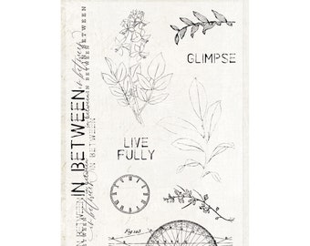 In Between Clear Stamp Set de 49 & Market Vintage Artistry Collection, Journaling Planner Paper Crafts Vintage Stamp kit, plantas sentimiento