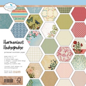 Harmonious Hodgepodge Elizabeth Craft Designs 12 x 12 po. Paquet de papier cartonné à motif recto-verso de 12 x 12 po.
