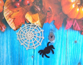 May include: A crocheted spiderweb decoration with a black spider on a blue wooden background. Autumn leaves are in the background.