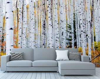 Autumn birch tree forest photo wallpaper | Self Adhesive | Peel and Stick | Removable
