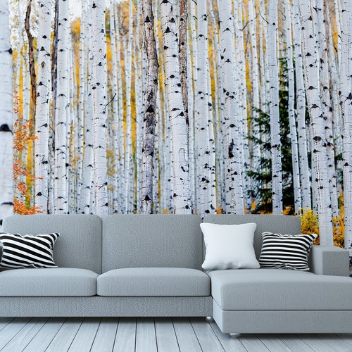 Autumn Birch Tree Forest Photo Wallpaper Self Adhesive - Etsy Autumn Birch Tree Forest Photo Wallpaper Self Adhesive - Etsy