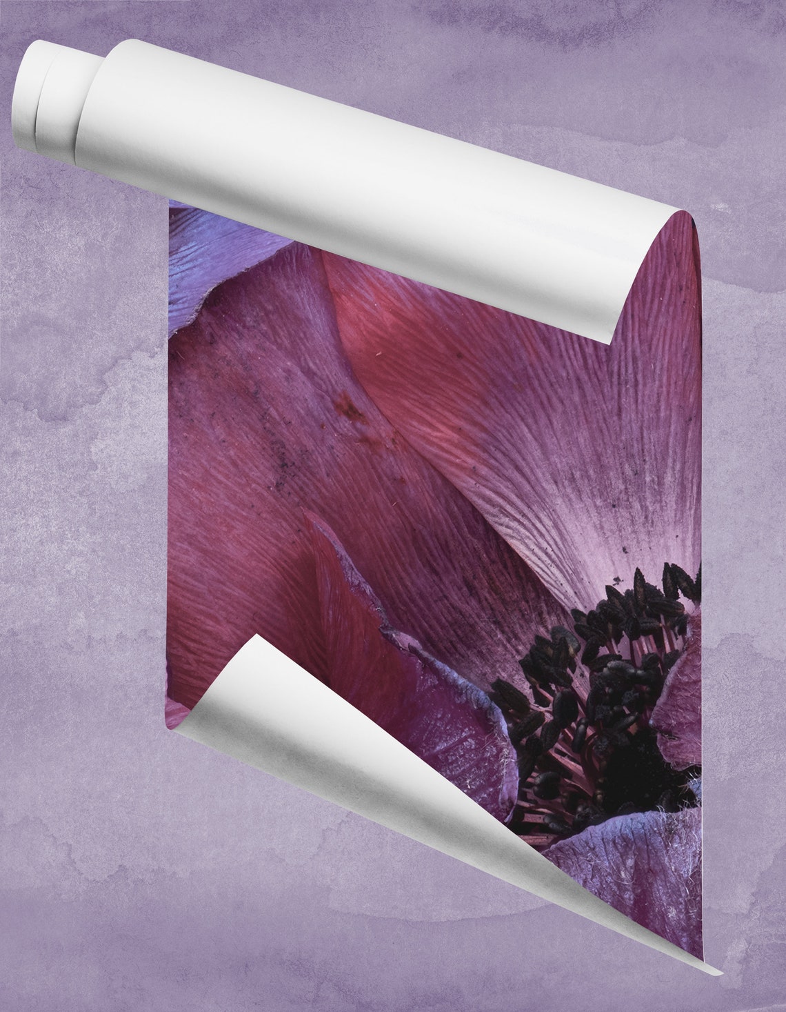 Photo Wallpaper With Purple and Blue Anemone Self Adhesive - Etsy