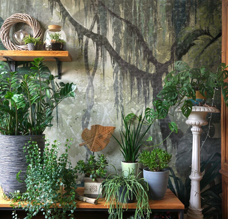 Puede incluir: Una colecci&oacute;n de plantas en macetas de varios tama&ntilde;os y estilos, incluyendo una planta verde grande en una maceta gris, una planta m&aacute;s peque&ntilde;a en una maceta blanca y una suculenta en una maceta azul. Las plantas est&aacute;n dispuestas sobre una mesa de madera frente a una pared con un papel tapiz estampado en verde y marr&oacute;n.