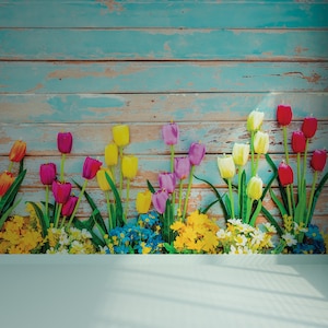 Fond d'écran photo de vieilles planches de bois bleues et de tulipes colorées | Auto-adhésif | Peler et coller | Amovible