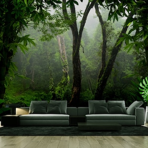 Dark forest photo wallpaper | Self Adhesive | Peel & Stick | Removable