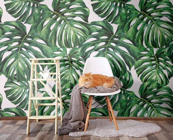 水彩の緑のトロピカル モンステラの葉の壁紙 |粘着剤 |剥がして貼る