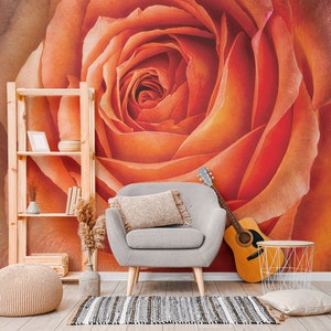 May include: A close-up of a large, orange rose with a wooden shelf, a guitar, and a chair in the background.