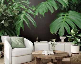 Real monstera leaves wallpaper on a black background | Self Adhesive | Peel & Stick | Removable Wallpaper