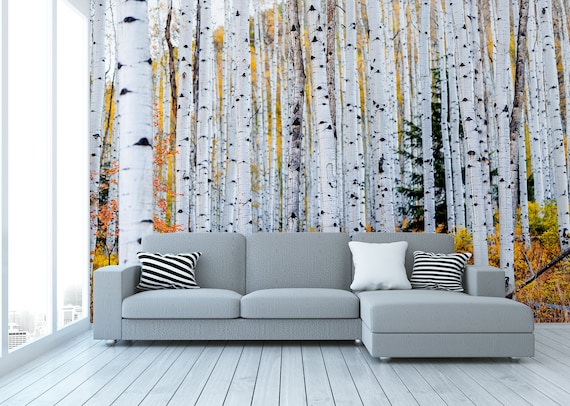 Autumn Birch Tree Forest Photo Wallpaper Self Adhesive - Etsy UK Autumn Birch Tree Forest Photo Wallpaper Self Adhesive - Etsy UK