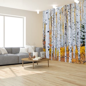 Autumn Birch Tree Forest Photo Wallpaper Self Adhesive - Etsy