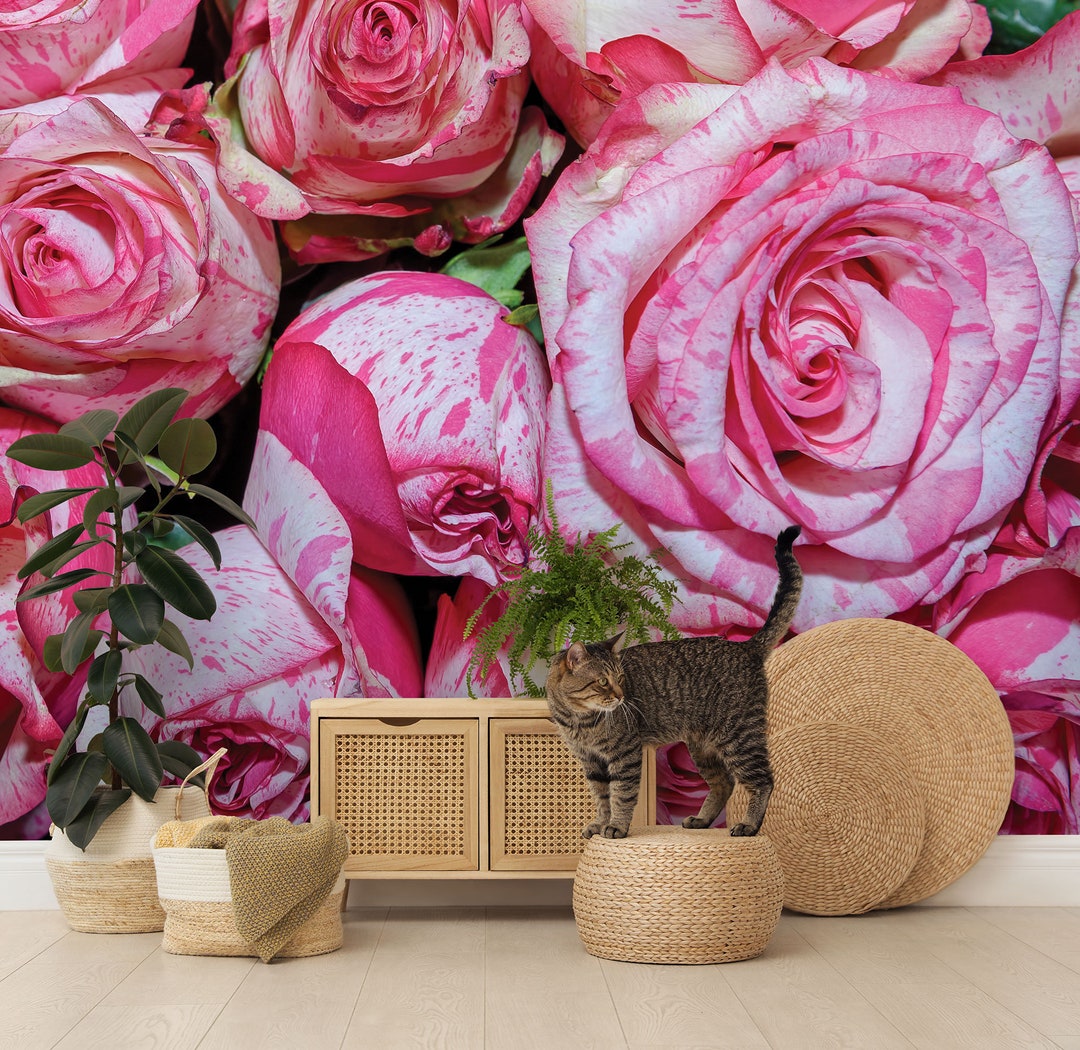Vivid Striped Pink Rose Wallpaper, Floral Photo Wallpaper, Floral Wall ...