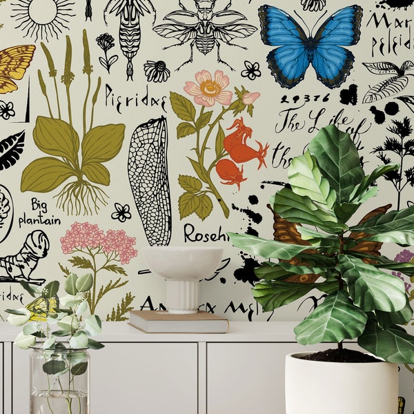 Botanical wallpaper with plants, flowers, butterfly, insects | Self Adhesive | Peel & Stick | Removable Wallpaper