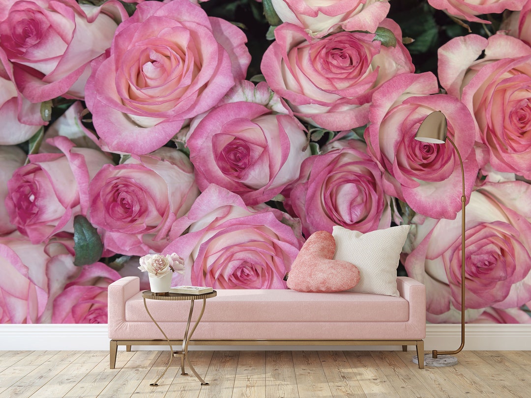 Pink Roses Photo Wallpaper, Rose Wall Mural, Floral Wallpaper • Peel