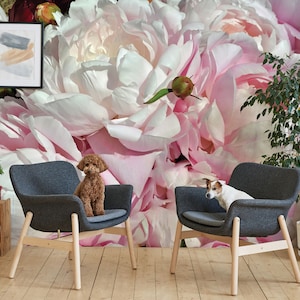 Big Peony Floral Wallpaper, Pink Flowers, Floral Wall Mural • Peel and Stick *self adhesive* or Non-Pasted Vinyl Materials •