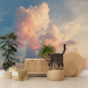 Blue Afternoon Sunset Sky Wallpaper, Orange Clouds Wall Mural • Peel and Stick *self adhesive* or Non-Pasted Vinyl Materials •