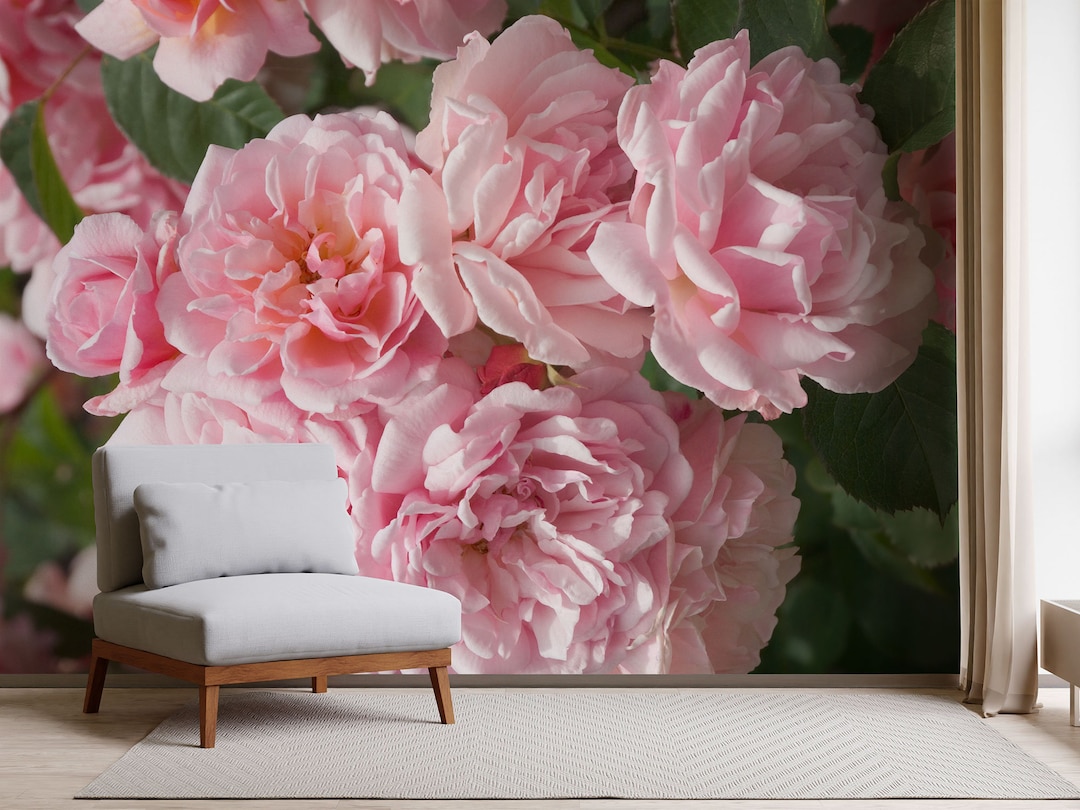 Pink Roses Romantic Photo Wallpaper, Floral Wall Mural, Rose Print