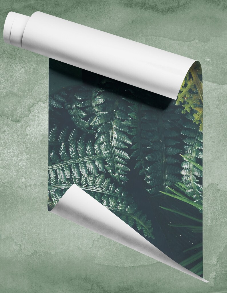Artificial Fern and Monstera Leaves Wallpaper Tropical | Etsy