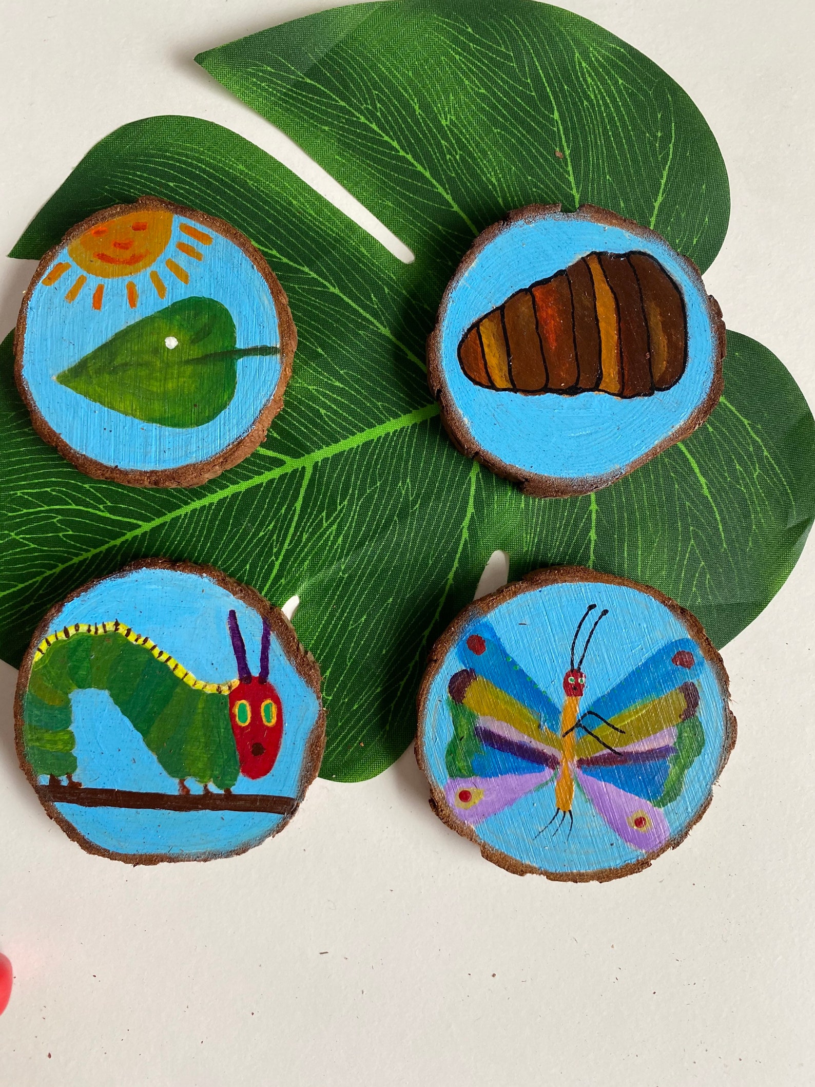 The Very Hungry Caterpillar Life Cycle Set Etsy the-very-hungry-caterpillar-life-cycle-set-etsy