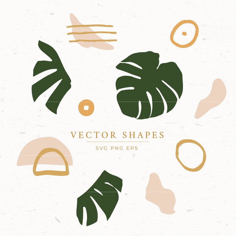 Download Abstract shapes SVG set Monstera Clipart Vector Shapes Png ...