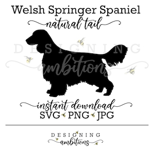 May include: Black silhouette of a Welsh Springer Spaniel with a natural tail. The silhouette is on a white background with the text "Welsh Springer Spaniel natural tail" and "instant download SVG PNG JPG" in a cursive font. The text "DESIGNING ambitions" appears twice in the image.