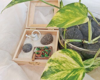 Mini Zen Garden Etsy