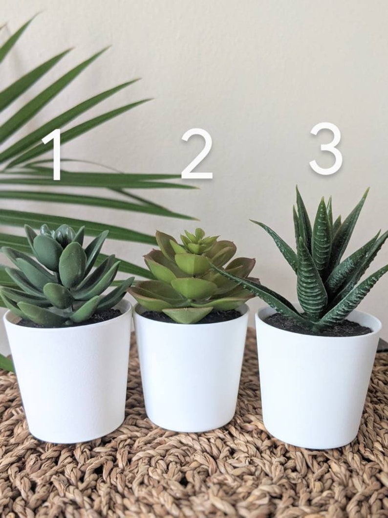 Mini Plant Hanger With Faux Succulent Car Rearview Mirror Etsy