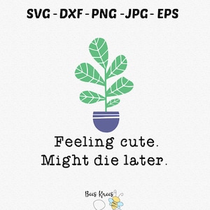 Fiddle Leaf Fig Svg, Sentindo-se fofo pode morrer mais tarde Svg, Houseplant Svg, Plant Lover Svg