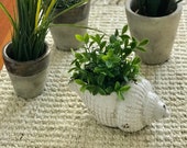 White Ceramic Seashell, Ivory Decorative Seashell Figurine, Coastal Decor, Cottage Coffee Table Decor, Faux Plants Planter, Pot Vase