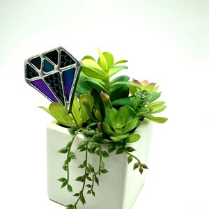 Black Diamond plant pick
